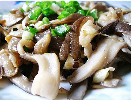 50款素菜菜谱，比肉菜还好吃~